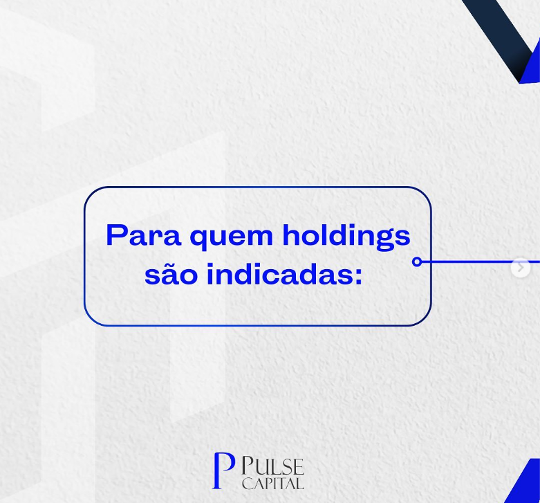 No momento, você está visualizando Para quem holdings são indicadas: