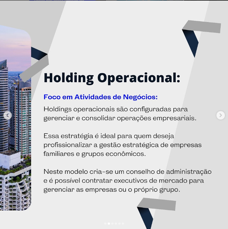 No momento, você está visualizando Holding Operacional vs. Holding Patrimonial