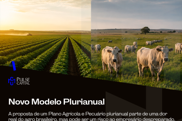 Novo Modelo Plurianual
