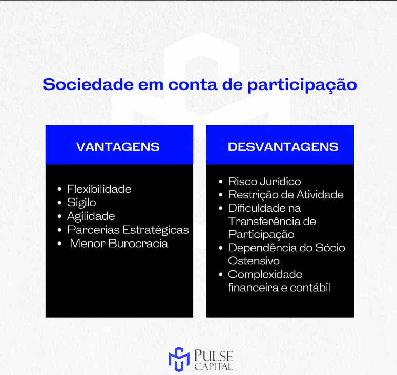 No momento, você está visualizando Sociedade em Conta de Participação